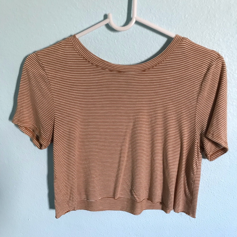 F21 Stripped Crop Top